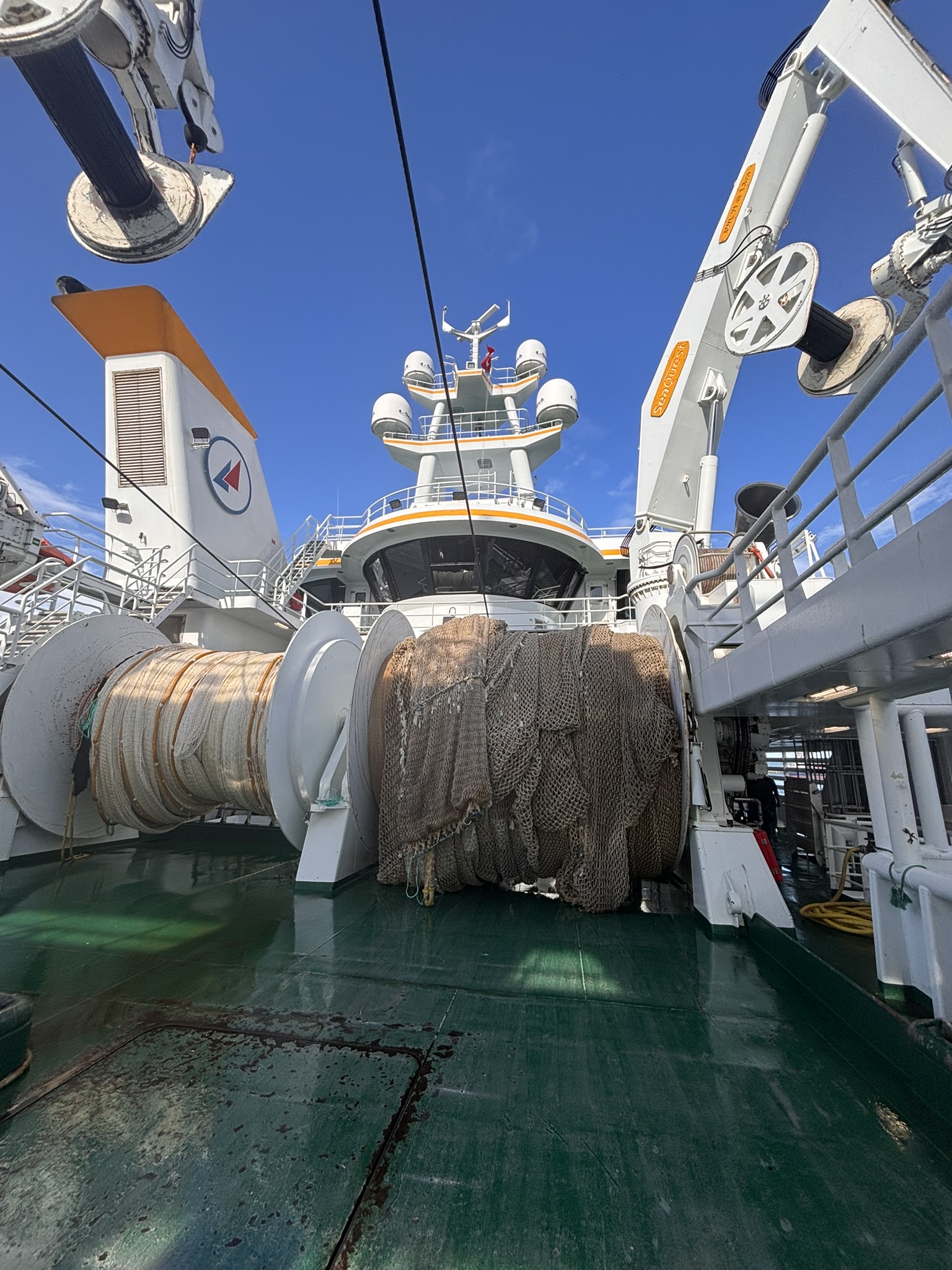 Real-time detection results